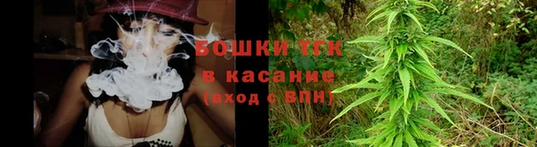 хмурый Осинники