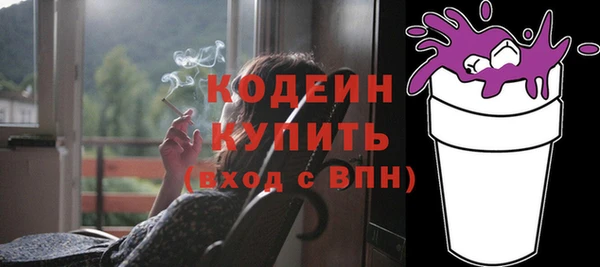 хмурый Осинники