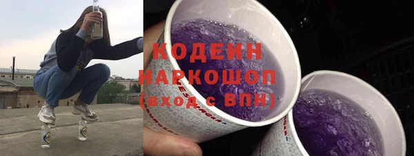 хмурый Осинники