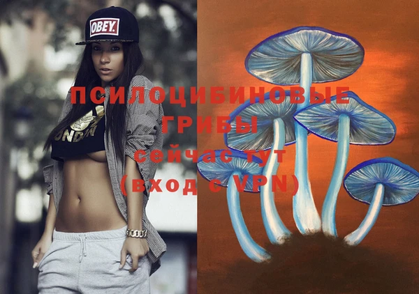 хмурый Осинники