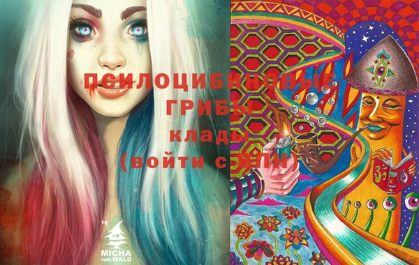 хмурый Осинники