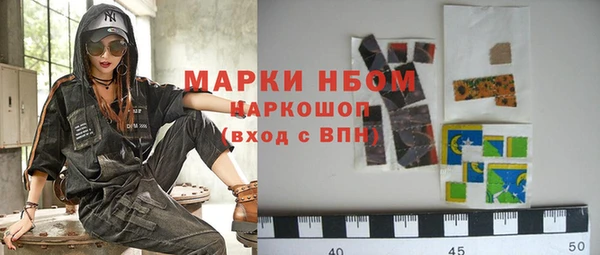 хмурый Осинники