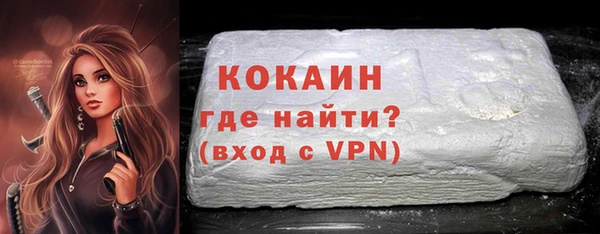 хмурый Осинники