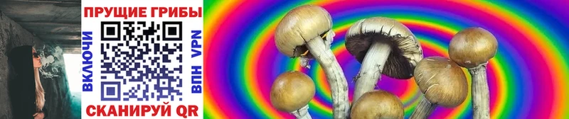 omg tor  Советский  Галлюциногенные грибы Cubensis 