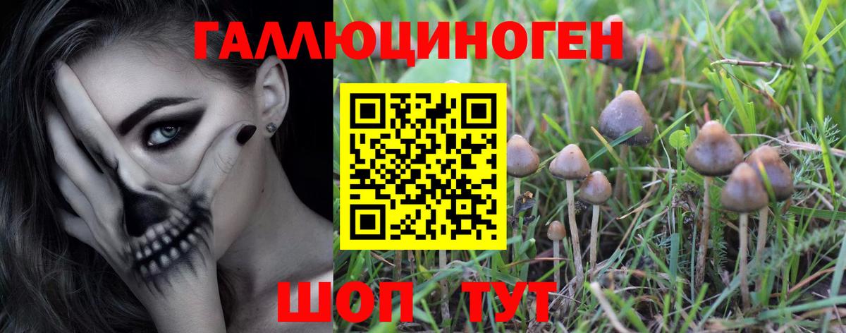 Галлюциногенные грибы мицелий Советский
